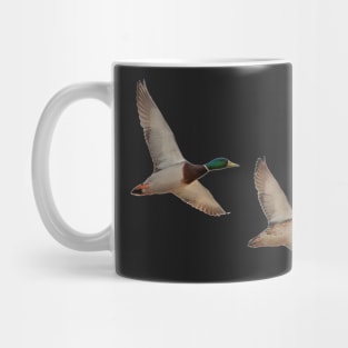 Mallards in Flight 2 Mug